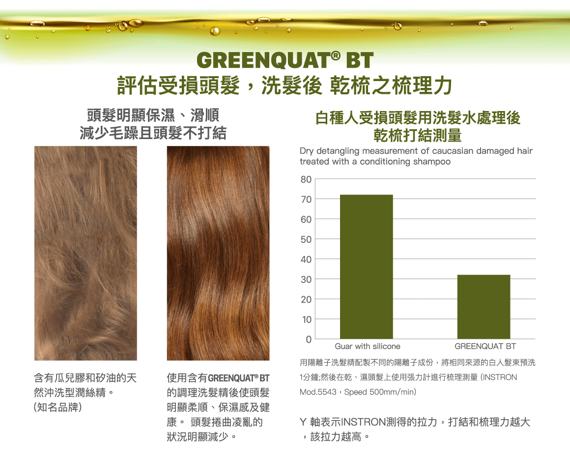 GREENQUAT® BT，評估受損頭髮，洗髮後 乾梳之梳理力。頭髮明顯保濕、滑順減少毛躁且頭髮不打結。含有瓜兒膠和矽油的天然沖洗型潤絲精。(知名品牌)使用含有GREENQUAT® BT的調理洗髮精後使頭髮明顯柔順、保濕感及健康。 頭髮捲曲凌亂的狀況明顯減少。白種人受損頭髮用洗髮水處理後乾梳打結測量